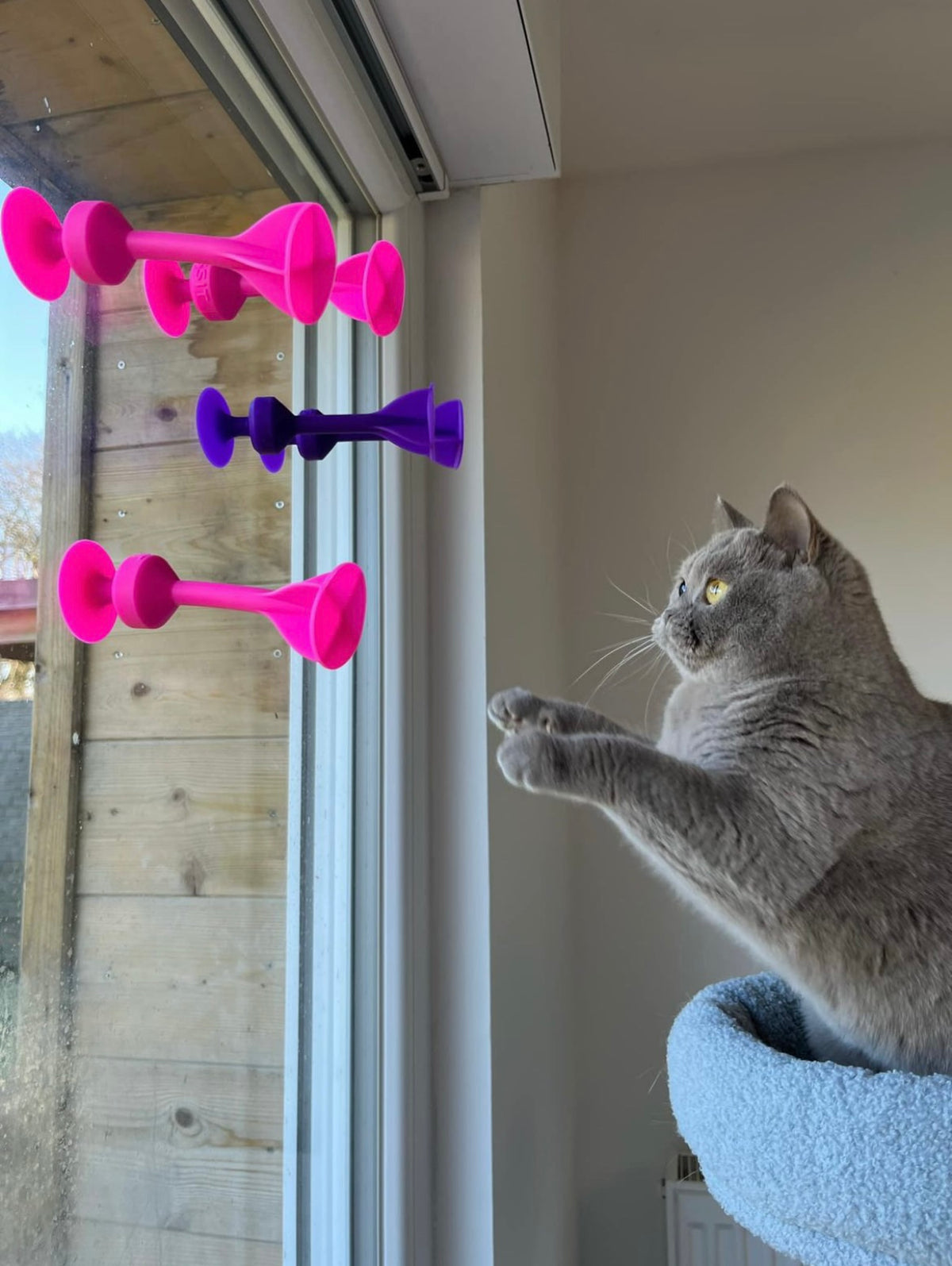 Play on windows