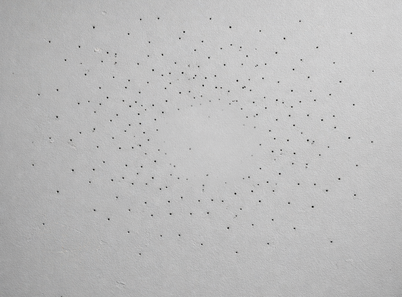 WON'T Leave Holes In Your Wall